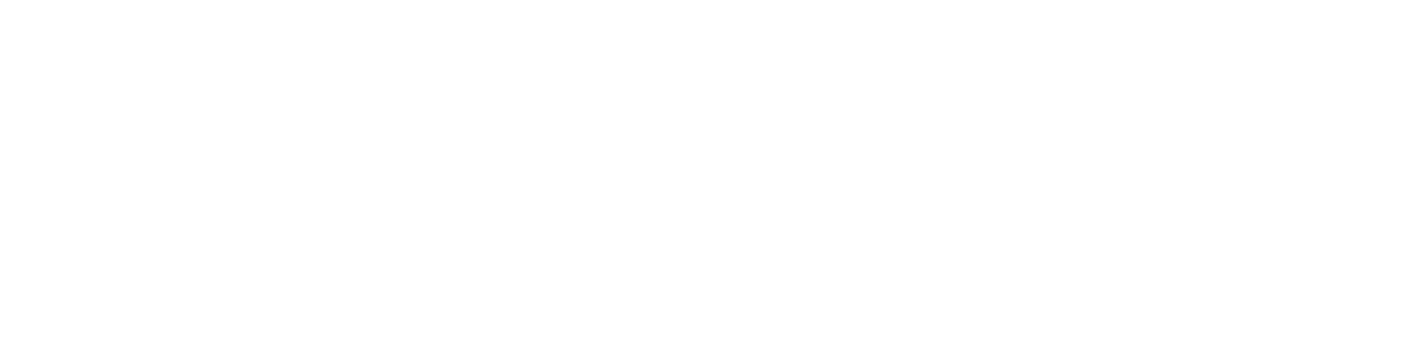 DS Corporate